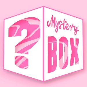 P.Louise Holiday Mystery Box!